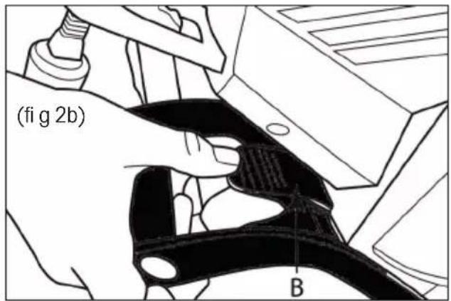 (fi g 2b) B
