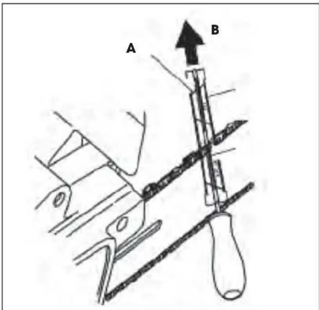 A B
