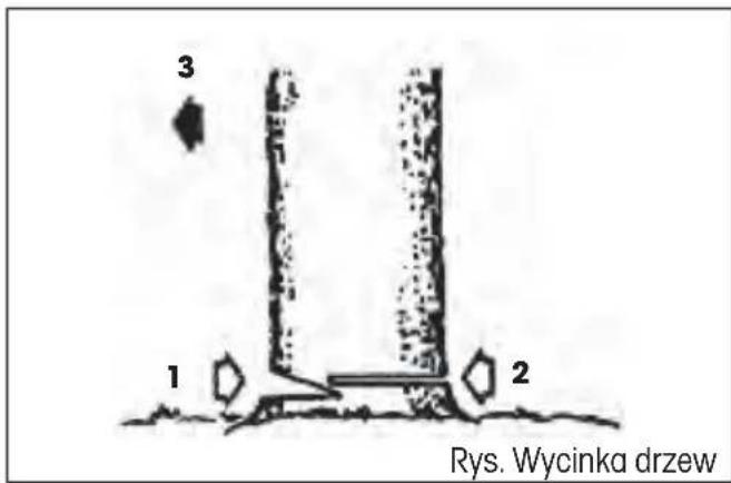 3 1 2 Rys. Wycinka drzew