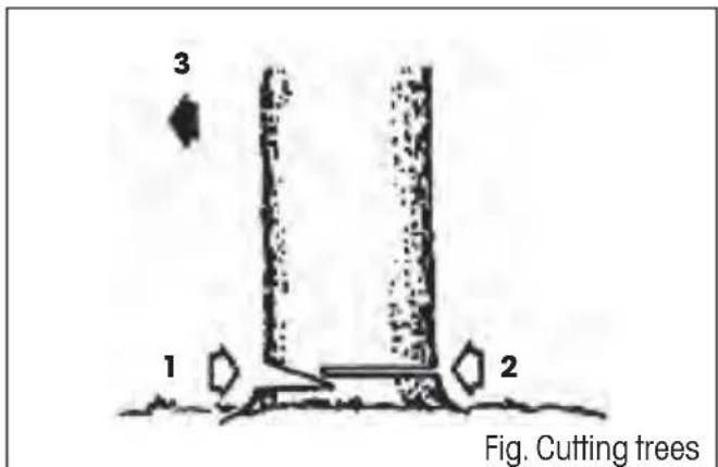 3 1 2 Fig. Cutting trees