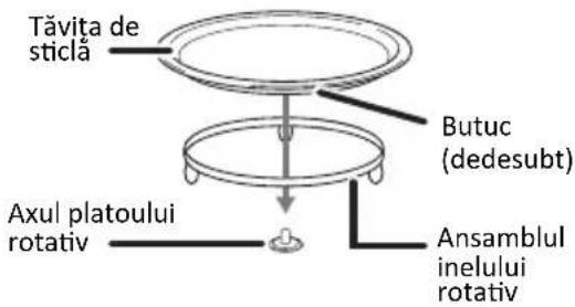Tăvita de sticlă Butuc (dedesubt) Axul platoului rotativ Ansamblul inelului rotativ