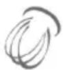 HYUNDAI Assistant ROB010 - A) Schlagen - 1