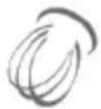 HYUNDAI Assistant ROB010 - A) Whipping - 1