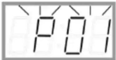 P01
