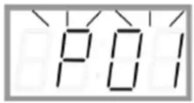 P01