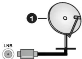 1 LNB