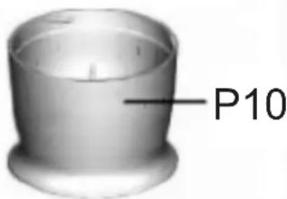 P10