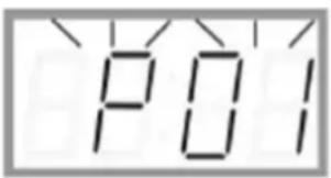 P01