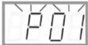 P01
