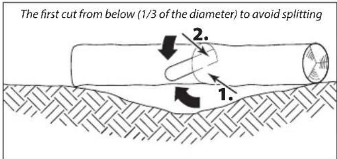 The first cut from below (1/3 of the diameter) to avoid splitting 1. 2.