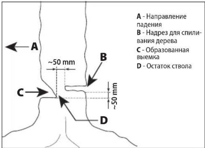 A - Направление падения B - Надрез для спили- вания дерева C - Образованная выемка D - Остаток ствола ~50 mm ~50 mm