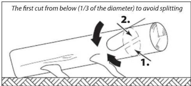 The first cut from below (1/3 of the diameter) to avoid splitting 1. 2.