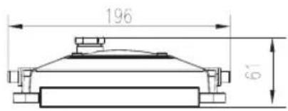 196 61