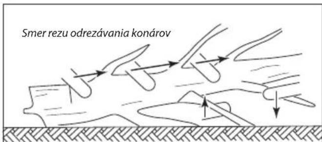 Smer rezu odrezávania konárov