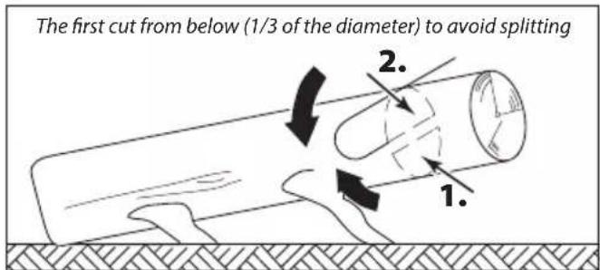 The first cut from below (1/3 of the diameter) to avoid splitting 1. 2.