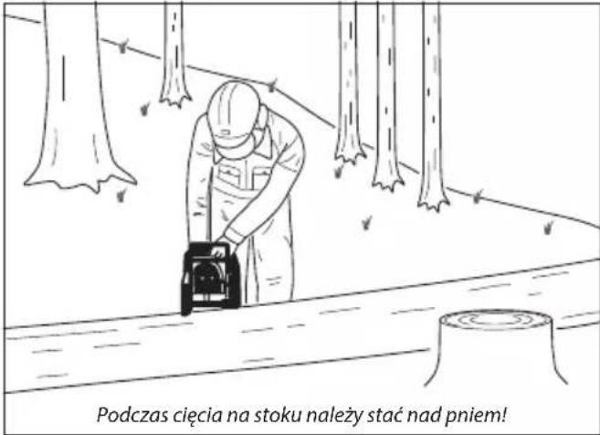 Podczas cięcia na stoku należy stać nad pniem!