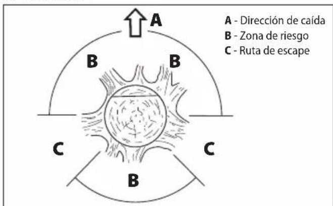 A - Dirección de caída B - Zona de riesgo C - Ruta de escape