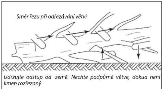 Směr řezu při odřezávání větví Udržujte odstup od země. Nechte podpůrné větve, dokud není kmen rozřezaný