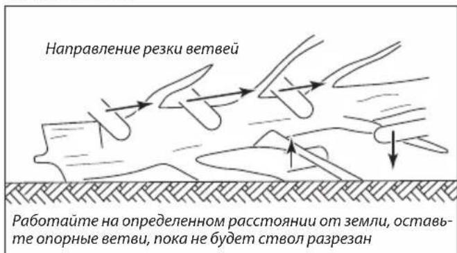 Направление резки ветвей Работайте на определенном расстоянии от земли, оставьте опорные ветви, пока не будет ствол разрезан