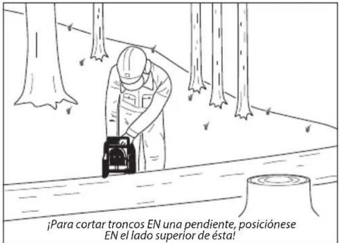 ¡Para cortar troncos EN una pendiente, posiciónese EN el lado superior de ésta!