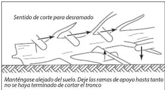 Sentido de corte para desramado Manténgase alejado del suelo. Deje las ramas de apoyo hasta tanto no se haya terminado de cortar el tronco