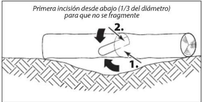 Primera incisión desde abajo (1/3 del diámetro) para que no se fragmente 1. 2.