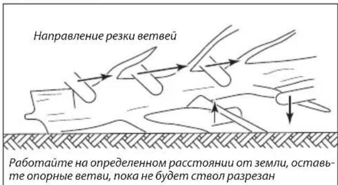 Направление резки ветвей Работайте на определенном расстоянии от земли, оставьте опорные ветви, пока не будет ствол разрезан