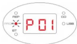 REP PROF BT P01 CO USB