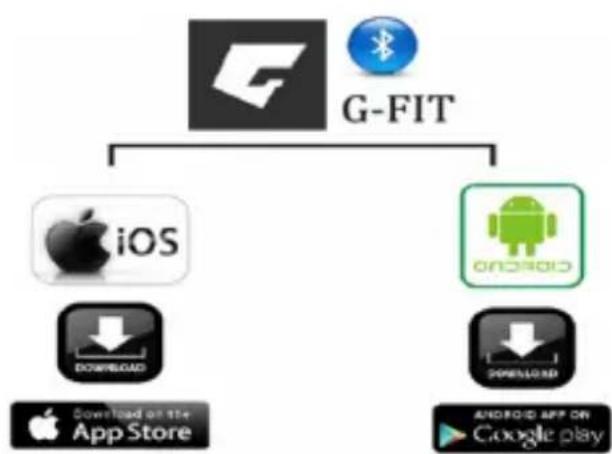 graph TD A["G-FIT"] --> B["iOS"] A --> C["Android"] B --> D["Download on the App Store"] C --> E["Download on the Android App Store"]