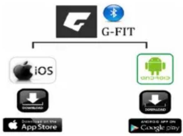 graph TD A["G-FIT"] --> B["iOS"] A --> C["Android"] B --> D["Download"] C --> E["Download"] D --> F["App Store"] E --> G["Android App on Google play"]