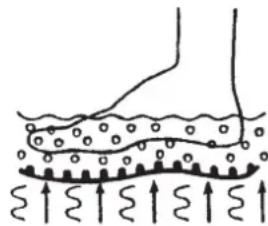 Diagram illustrating fluid flow through a porous medium with upward arrows indicating direction of movement or pressure.