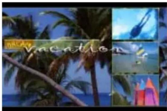 VACATION