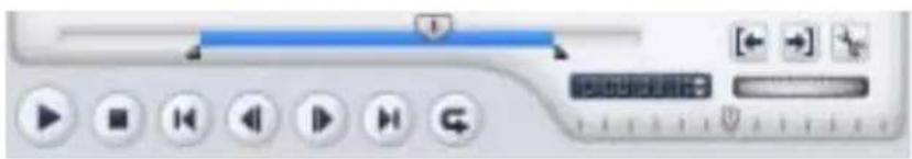 Screenshot of a media player interface with playback controls and playback buttons