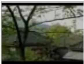 View through a window showing trees and greenery, no visible text or symbols