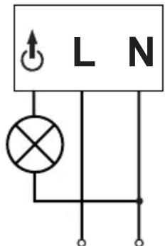 L N