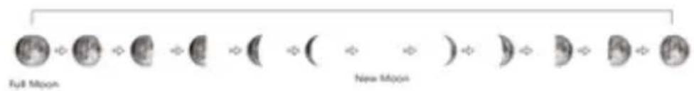 Full Moon New Moon