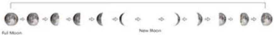 Full Moon New Moon