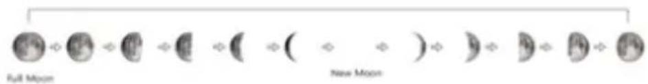 Full Moon New Moon