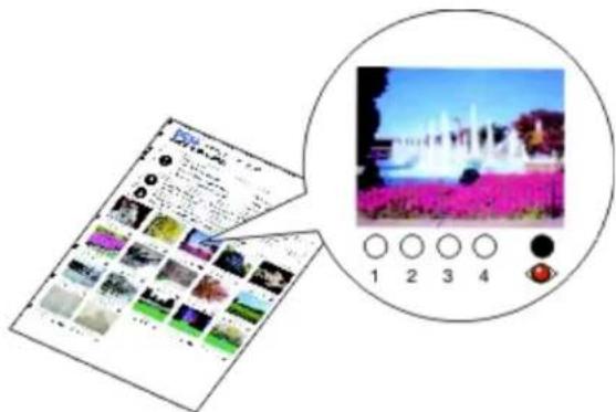DELL V305w - Tisk fotografií z digitálního fotoaparátu pomocí DPOF - 4