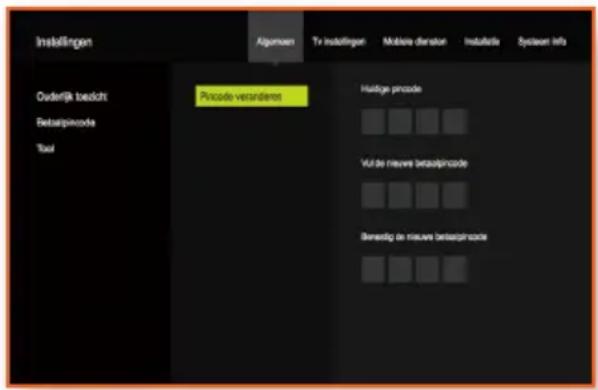 Installungen Algematen Tv Insatlingen Mobile dimension Instaliste System info Oderlijk bedicht Beteaspinkode Tool Pincode versonderer Haidige pincode Vul de nieuwe betaspinkode Bierendig de nieuwe betaspinkode