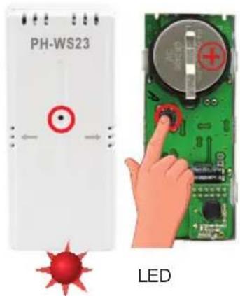 Elektrobock HC-PH-HD23 - G - 8