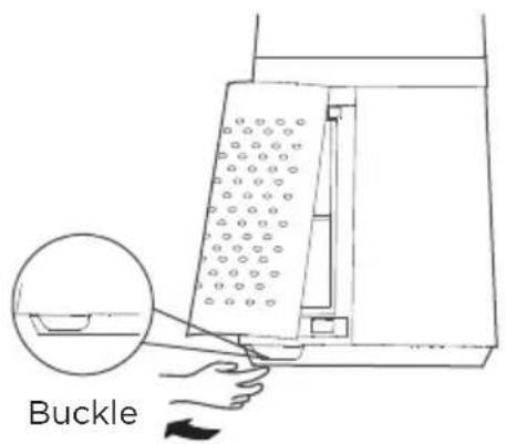 Buckle
