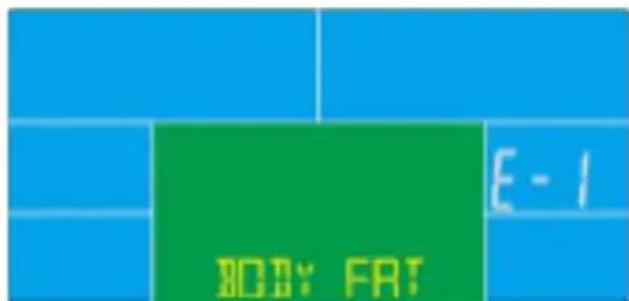 BODY FAT E - 1