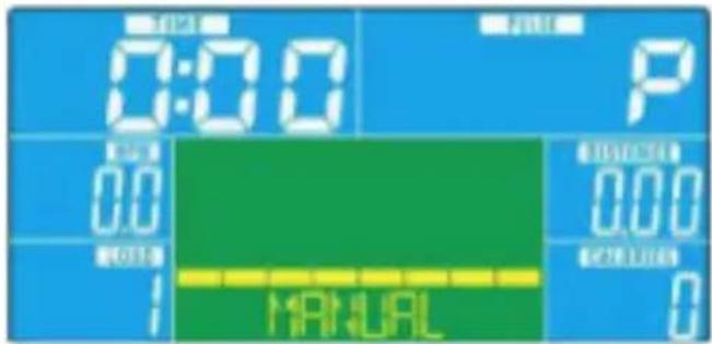 0:00 P 0.0 0.00 0.00 MANUAL