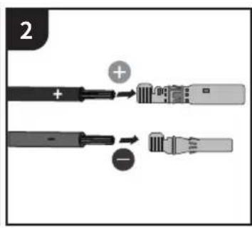 2 + + -