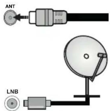 ANT LNB