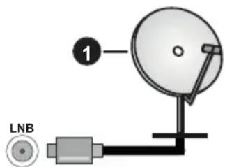 1 LNB