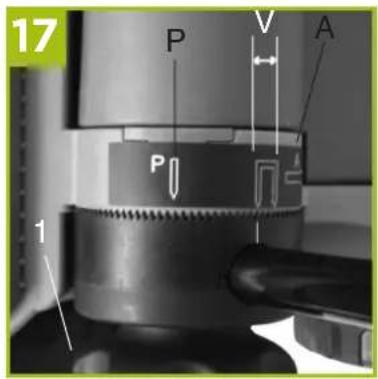 17 P V A P 1