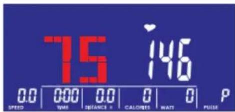 75 146 0.0 | 0:00 | 0.0 | 0 | 0 | P SPEED TIME DISTANCE = CALORIES WAIT PULSE