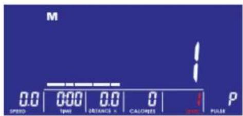 M 0.0 0.00 0.0 0 1 P SPEED TIME DISTANCE 0 CALORIES DAY PULSE